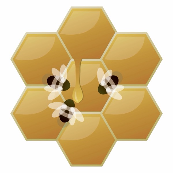 HoneyComb.jpg HoneyComb